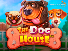The Dog House The Dog House